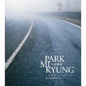 Pochette de Lane Changing de Park Mi Kyung