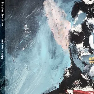 Pochette de Are You Happy de Bipolar Sunshine