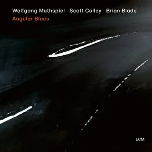 Pochette de Angular Blues de Scott Colley - Brian Blade - Wolfgang Muthspiel
