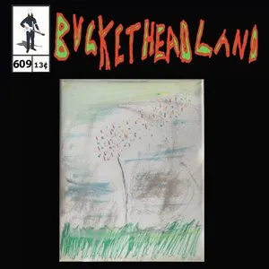 Pochette de Book Of Wonders de Buckethead