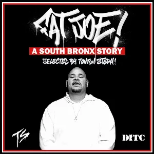 Pochette A South Bronx Story