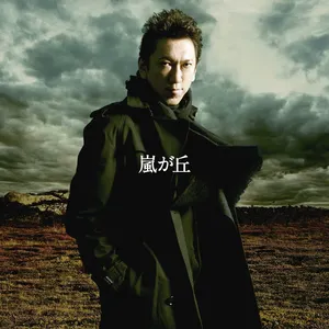Pochette de 嵐が丘 de Tomoyasu Hotei