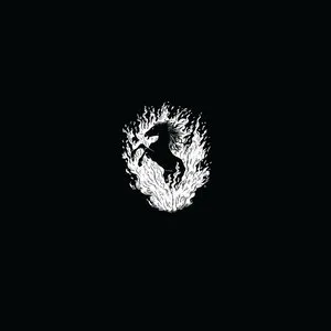 Pochette de The Besnard Lakes Are A Live de The Besnard Lakes