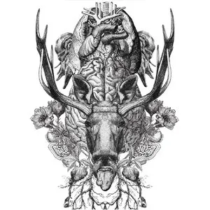 Pochette de Re:STUPiD de BiS
