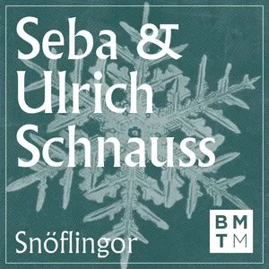 Pochette de Snöflingor EP de Seba