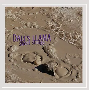 Pochette de Sweet Sludge de Dali's Llama