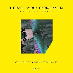 Pochette de Love You Forever (Metrush remix) de Nicky Romero