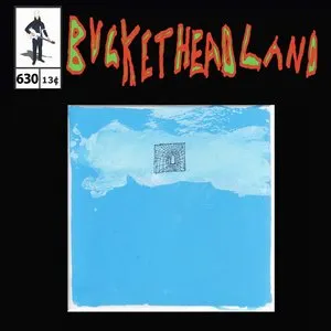 Pochette de Home In The Sky de Buckethead