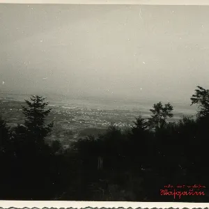Pochette de Wasgauen de Mokuhen - aLTERkRANKERmANN