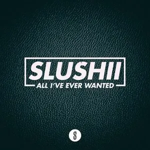 Pochette de All I've Ever Wanted de Slushii