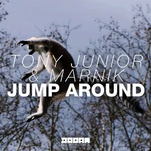 Pochette de Jump Around de Marnik