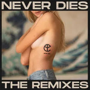 Pochette Never Dies (The Remixes)