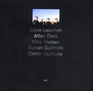 Pochette de After Dark de David Liebman