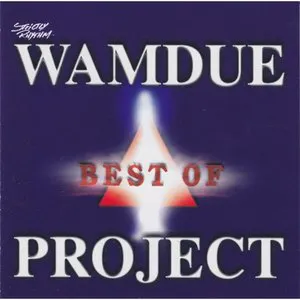 Pochette Best of Wamdue Project
