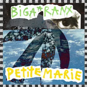 Pochette Petite Marie (Fanzine Remix)