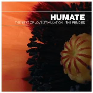 Pochette The Best of Love Stimulation—The Remixes