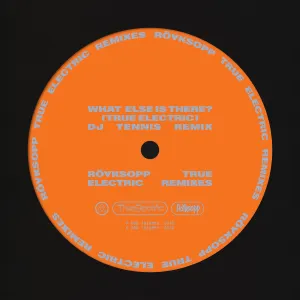 Pochette de What Else Is There? (DJ Tennis remix) de Röyksopp - Fever Ray