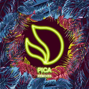 Pochette Pica (remixes)