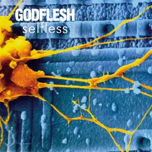 Pochette de Selfless de Godflesh