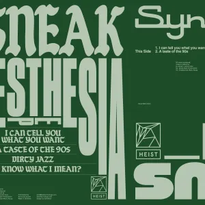 Pochette de Synesthesia de DJ Sneak