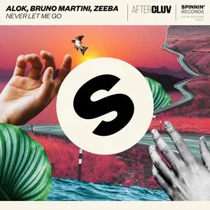 Pochette de Never Let Me Go de Alok
