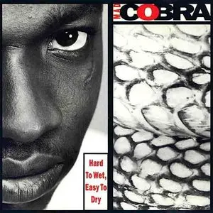 Pochette de Hard to Wet, Easy to Dry de Mad Cobra