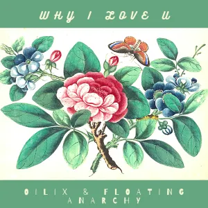Pochette de Why I love you de Oilix