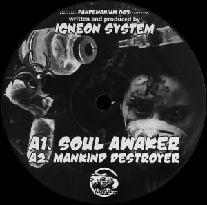 Pochette de Soul Awaker de Igneon System