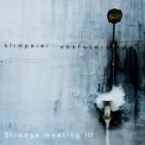 Pochette de strange meeting III de Klimperei