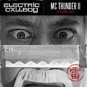Pochette de MC Thunder II (Dancing Like a Ninja) de Electric Callboy