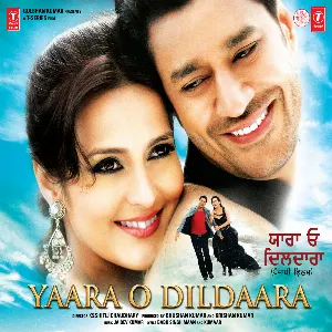 Pochette de Yaara O Dildaara de Pritam