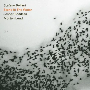 Pochette de Stone in the Water de Stefano Bollani