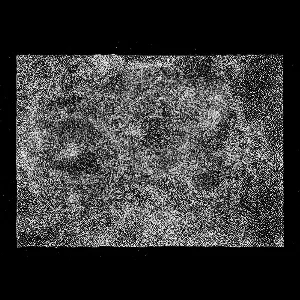 Pochette de Sans Titre de Damien De Coene