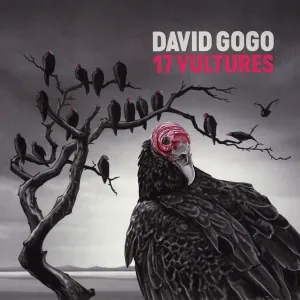 Pochette de 17 Vultures de David Gogo