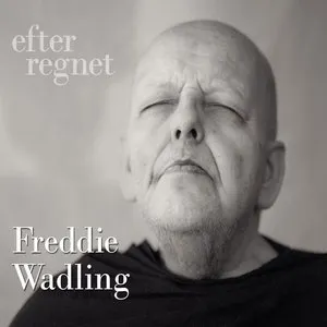 Pochette de Efter regnet de Freddie Wadling