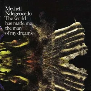Pochette de The World Has Made Me the Man of My Dreams de Meshell Ndegeocello