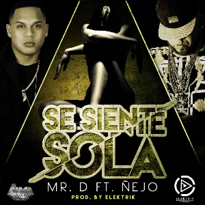 Pochette de Se siente sola de Ñejo