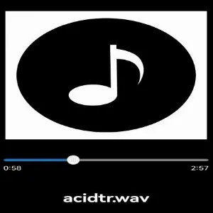 Pochette de acidtr de dgty