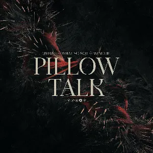Pochette de Pillow Talk de IMANU - What So Not