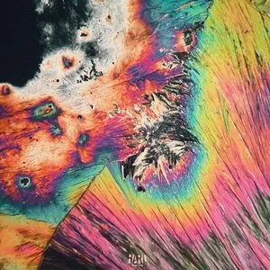 Pochette de Black and Colors de Nitepunk