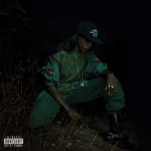 Pochette de Back to the Woods de Angel Haze