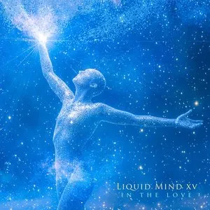 Pochette de Liquid Mind XV: In the Love de Liquid Mind