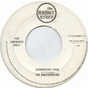 Pochette de Downbound Train / My Beautiful Reward de The Smithereens