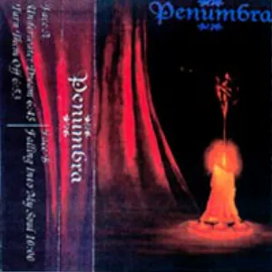 Pochette de Falling Into My Soul de Penumbra