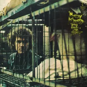 Pochette de Song from the Street de Murray McLauchlan