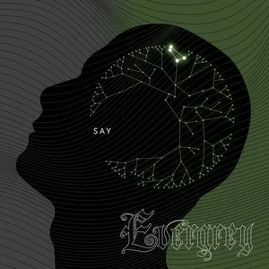 Pochette de Say de Evergrey