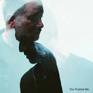 Pochette de You Pushed Me de Wide Mouth Mason