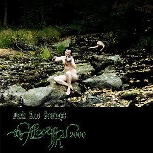 Pochette de The Apocryphal 2000 de Dark Side Cowboys