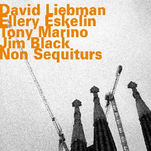 Pochette de Non Sequiturs de David Liebman