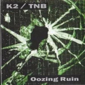 Pochette de Oozing Ruin de The New Blockaders